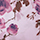 SN673.A479-32