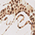 SN7587.3253-149