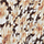 SN874.8915-21