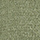 SN9844.0666-41