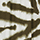 SN9844.8900-157
