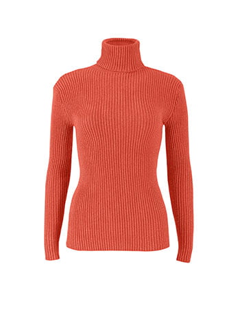 fitted ribbed turtleneck