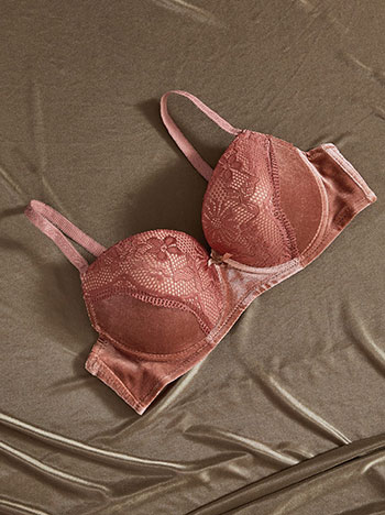 Σουτιέν βελούδινο σε σάπιο μήλο