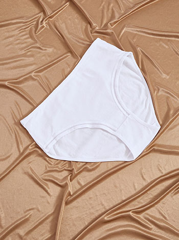 Plus size brief with fishnet details in white