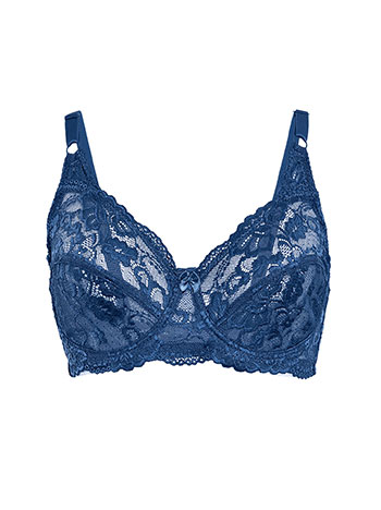 Laced semi sheer bra in blue
